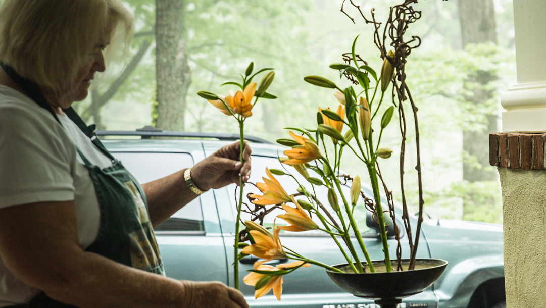 Mill Mountain Garden Club
